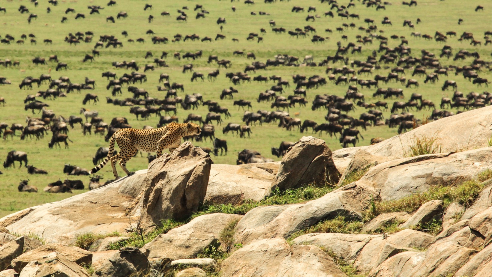 Components of Tourism Components of Tourism