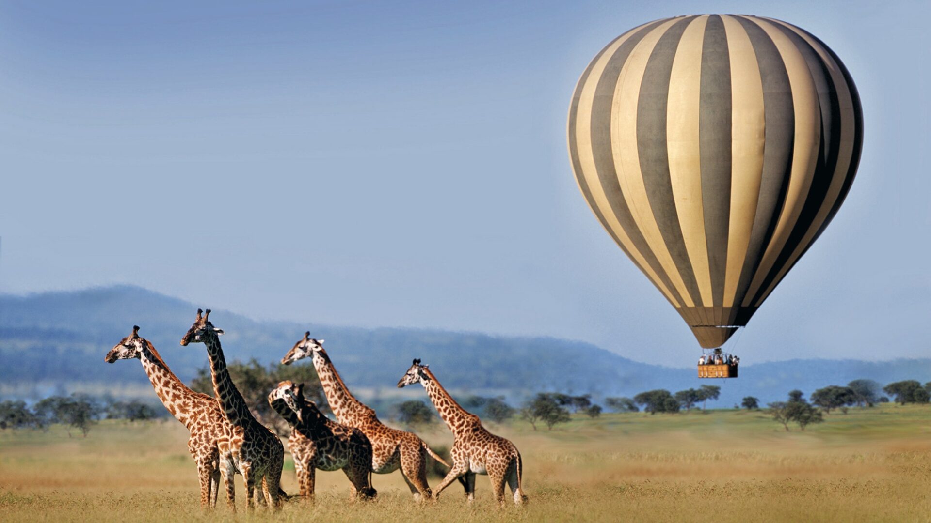 Components of Tourism Components of Tourism