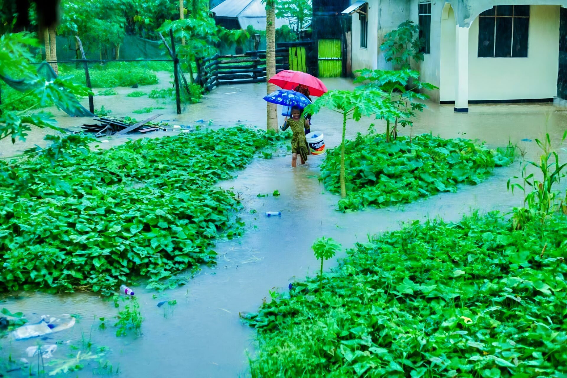 Rufiji floods Rufiji floods