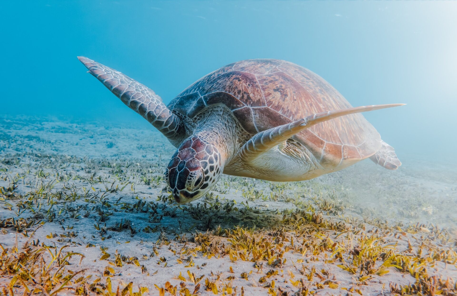 Tanzania tourism Tanzania tourism