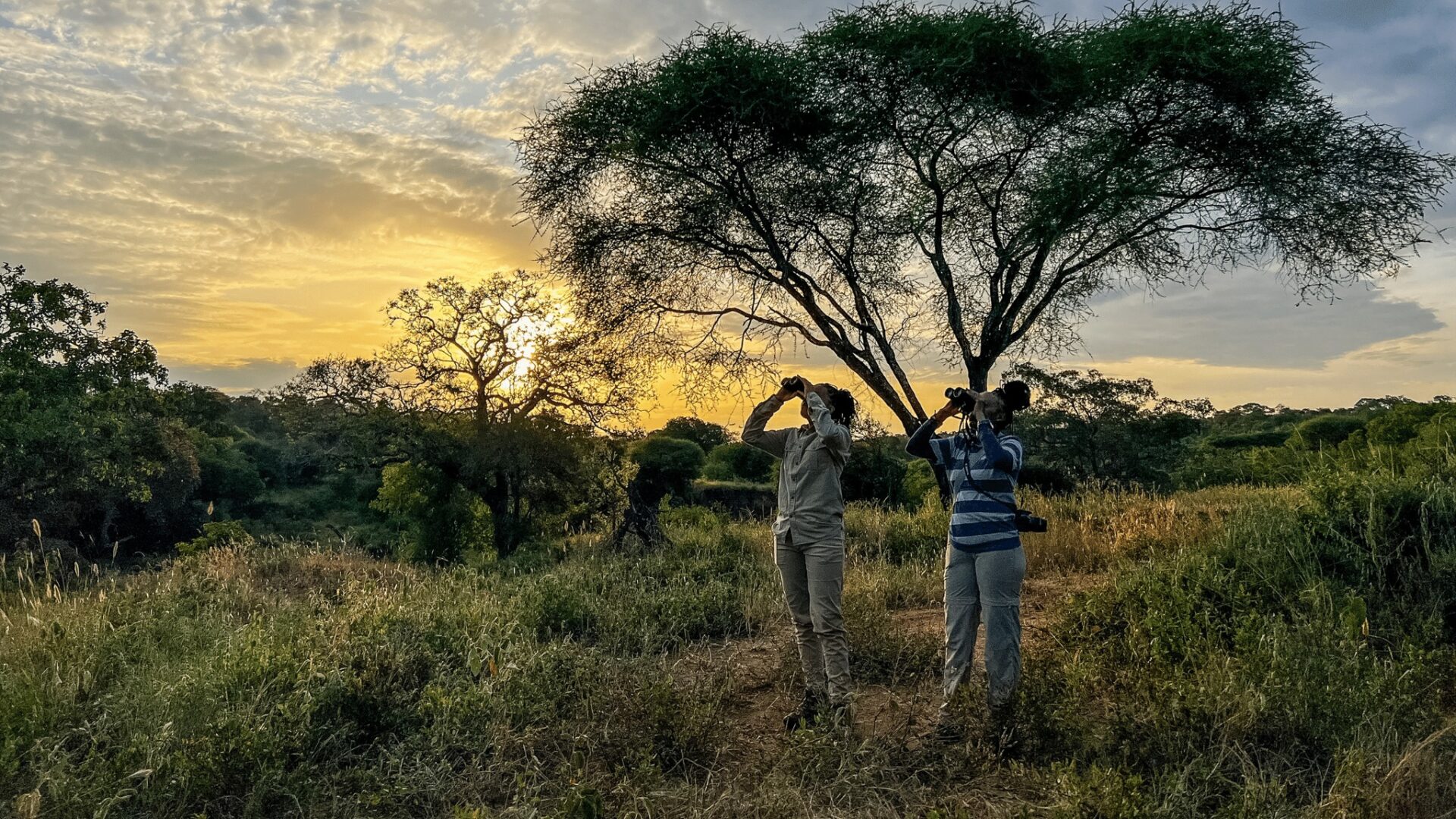 Tanzania tourism Tanzania tourism