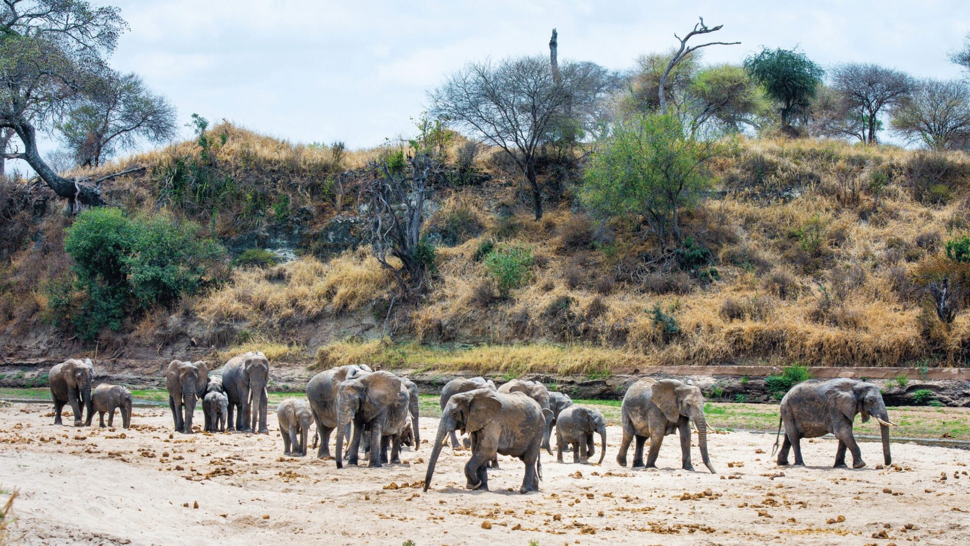 Tanzania tourism Tanzania tourism