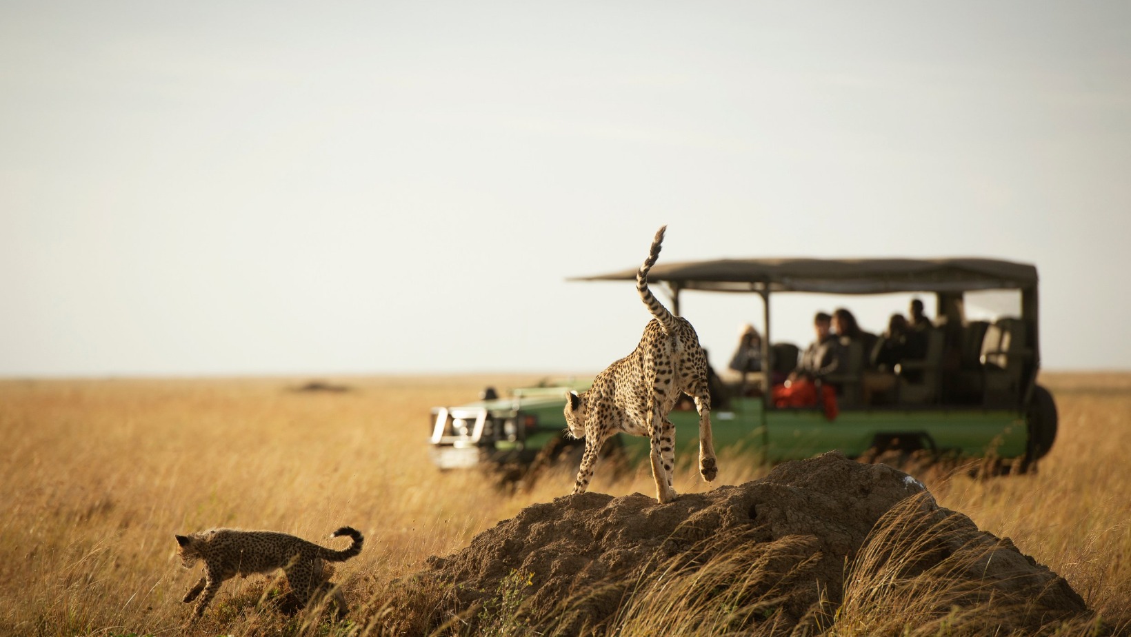 Tourism's economic Tourism's economic