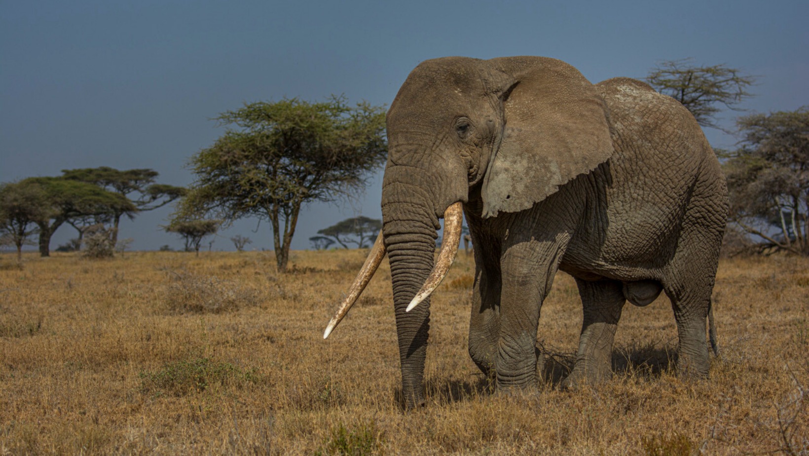 Tourism's economic Tourism's economic