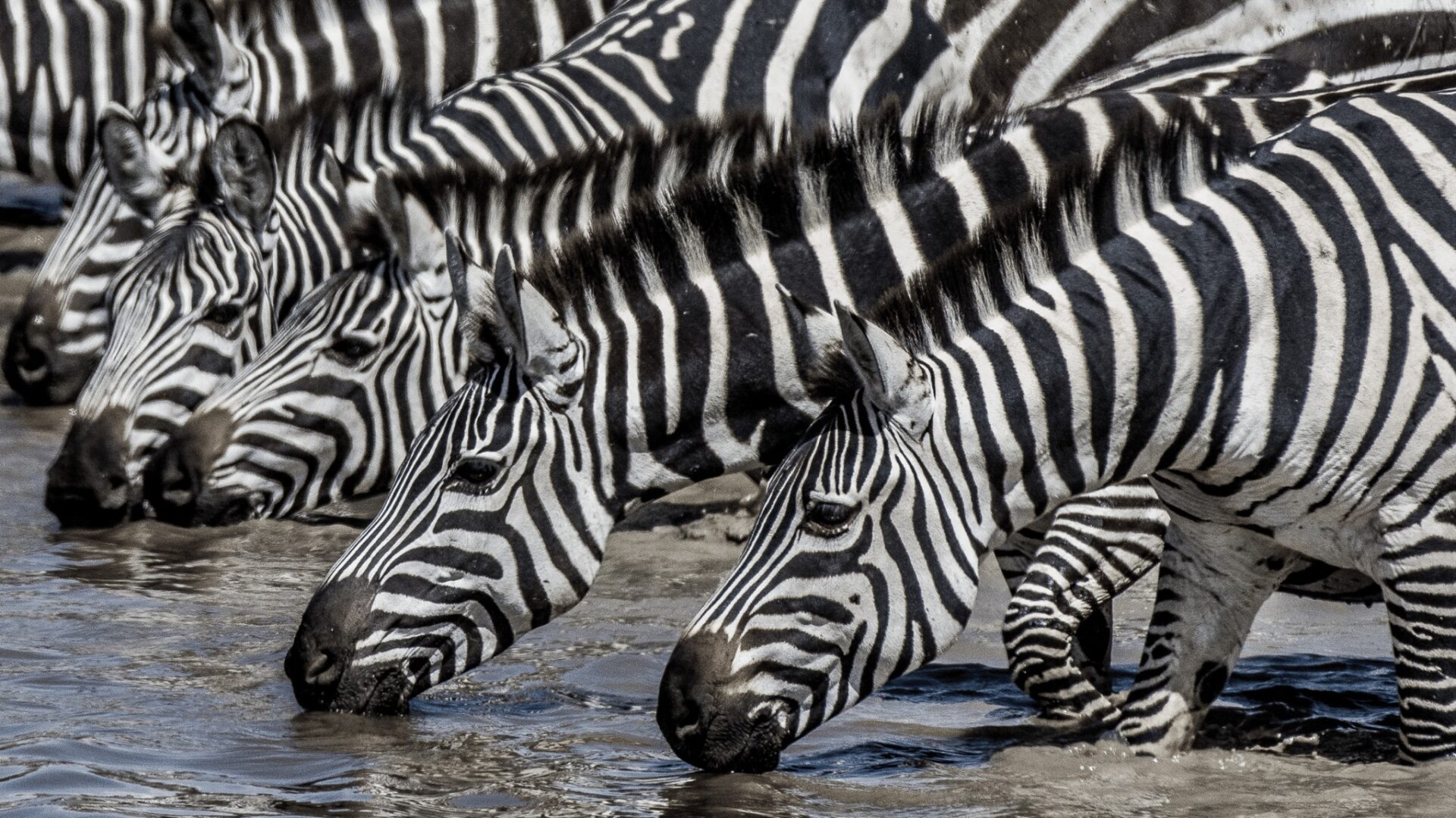 Tourism's economic Tourism's economic