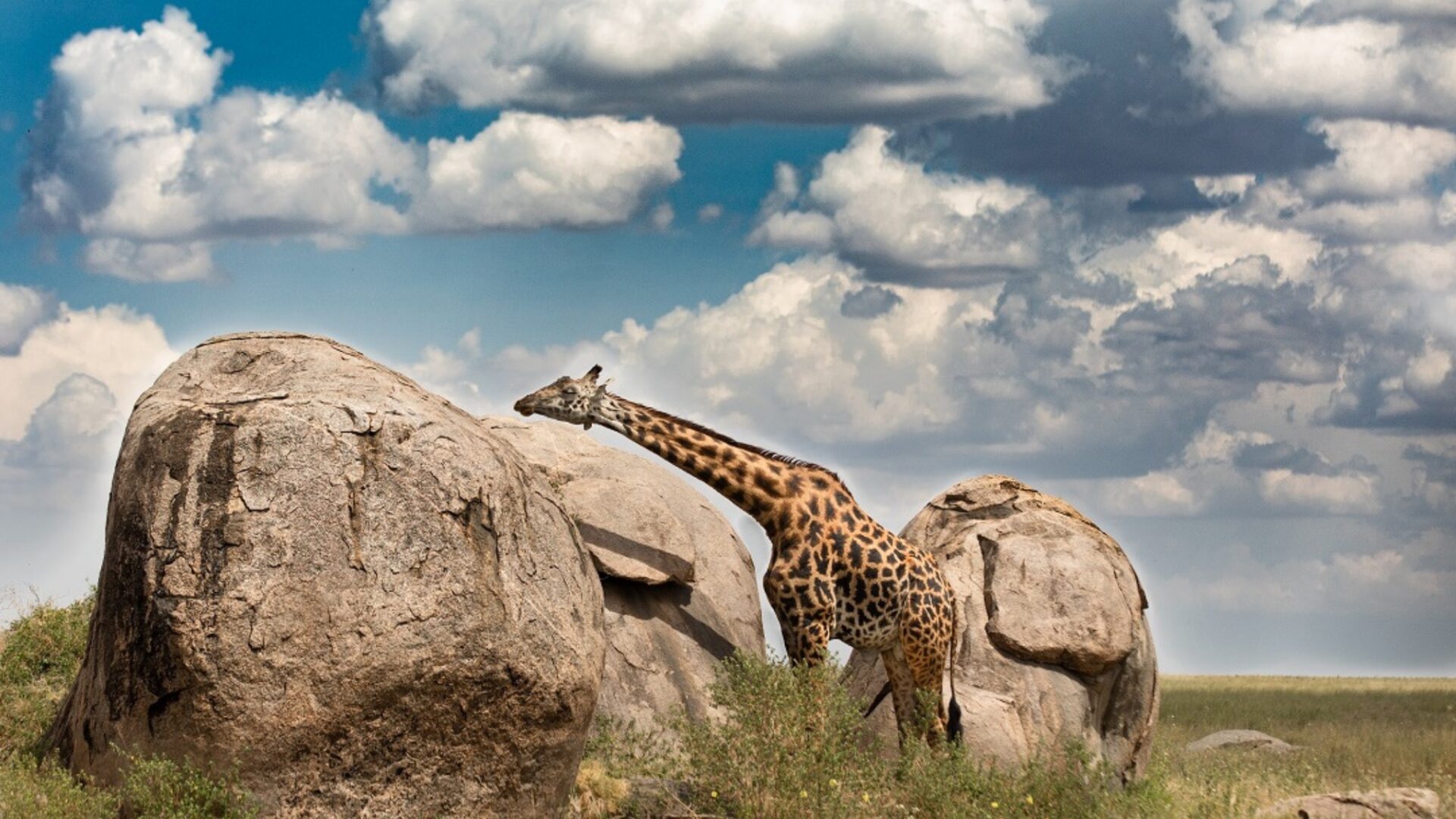 Tourism's economic Tourism's economic