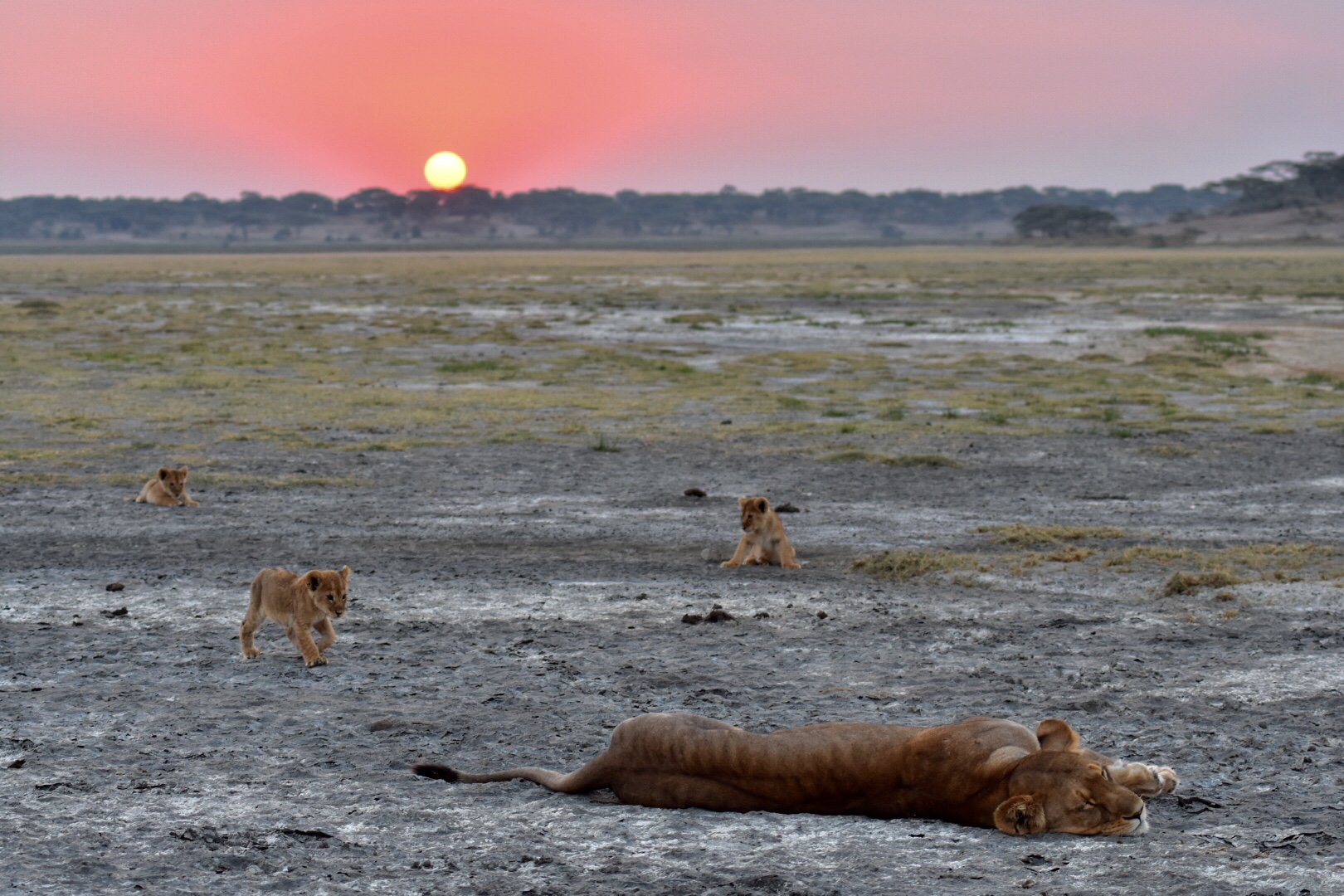 Tourism's economic Tourism's economic