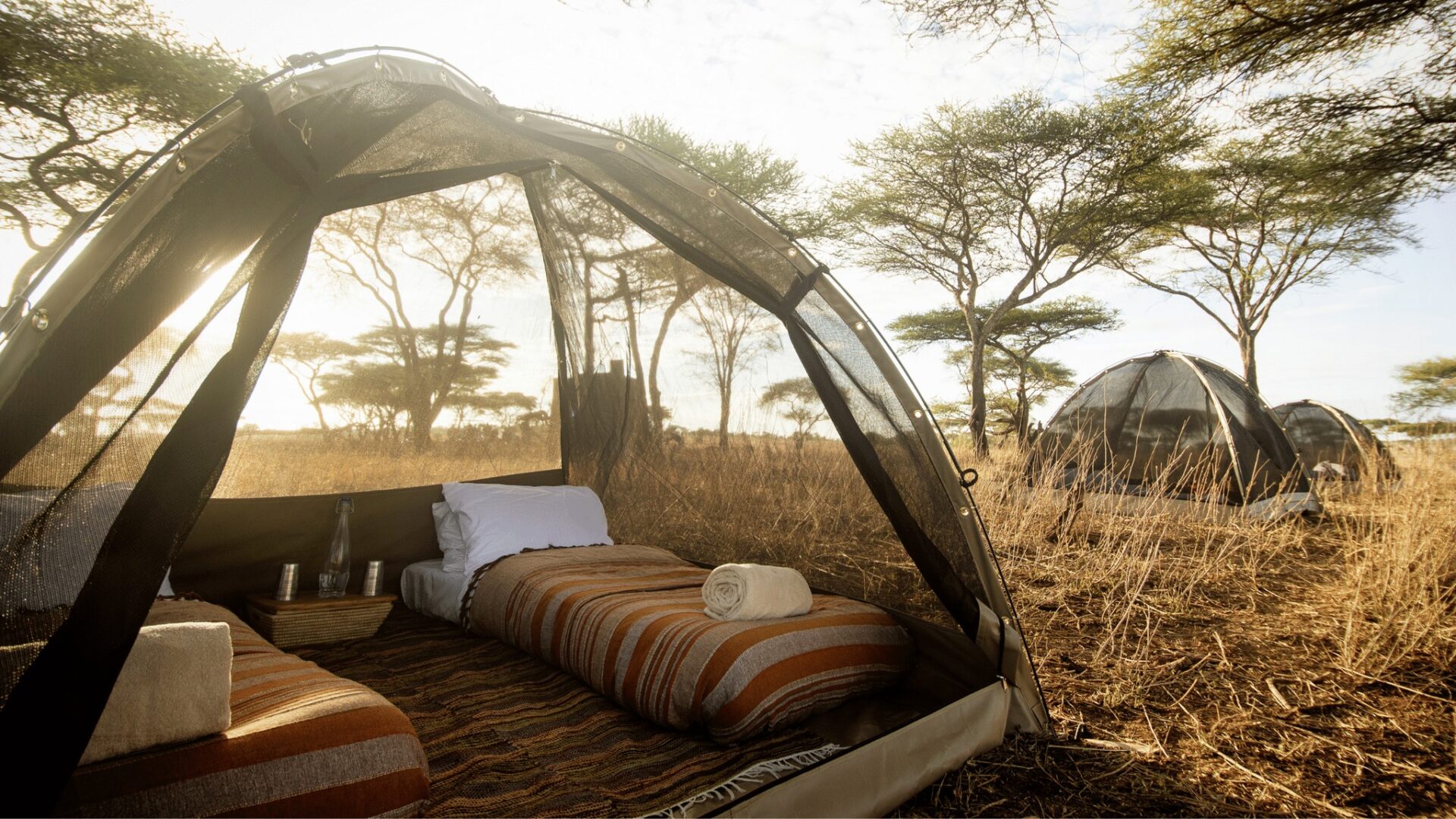 Tourism's economic Tourism's economic