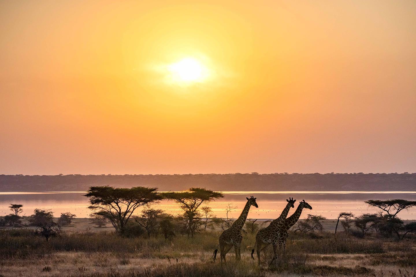 Tourism's economic Tourism's economic