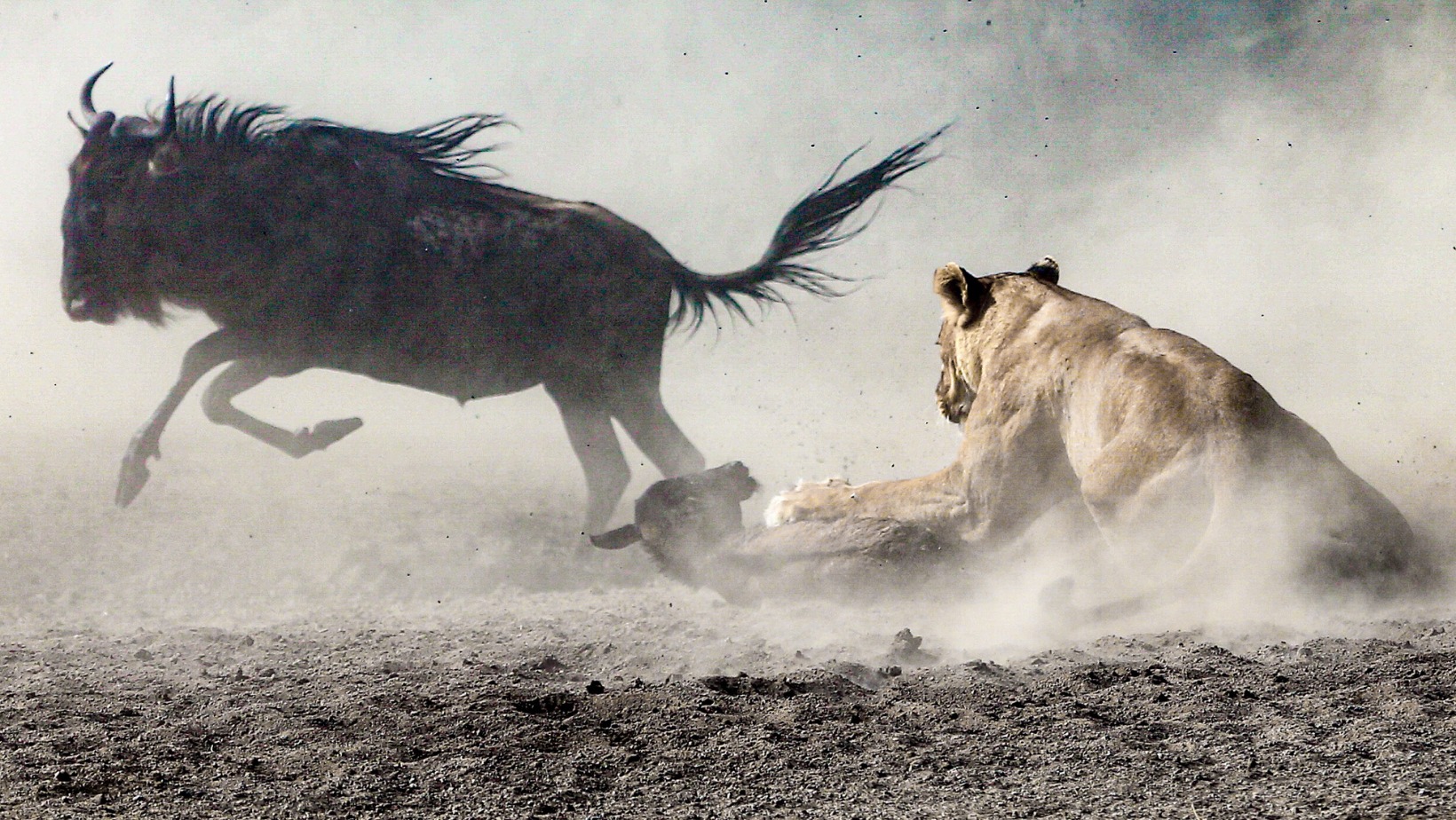 Tourism's economic Tourism's economic