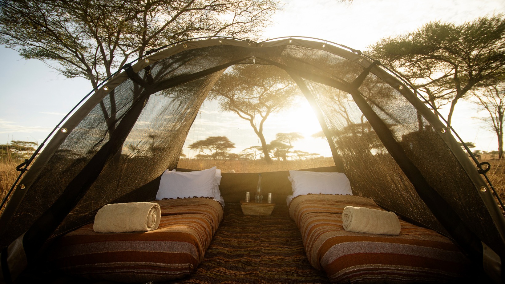 Tourism's economic Tourism's economic