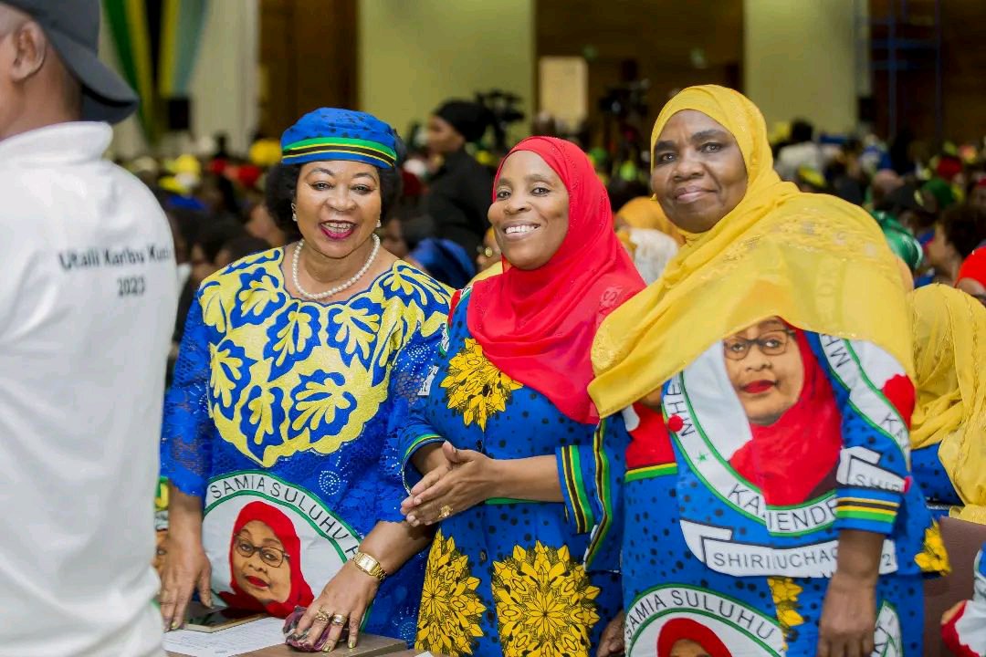 President Hussein Ali Mwinyi