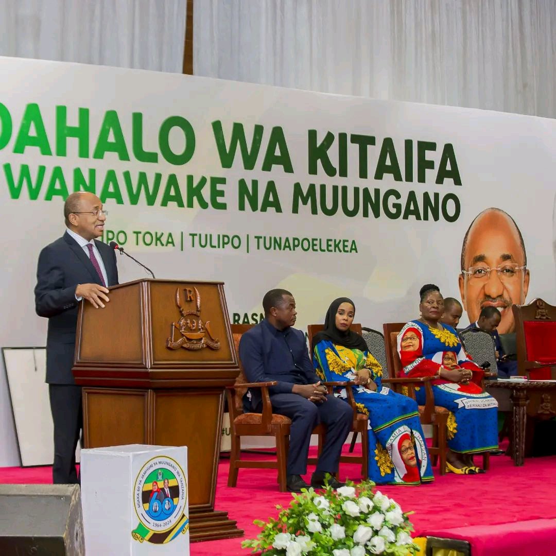 President Hussein Ali Mwinyi