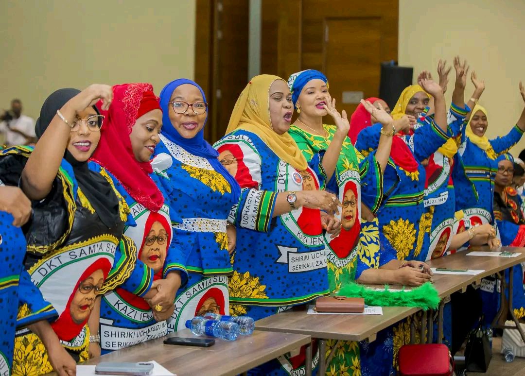 President Hussein Ali Mwinyi