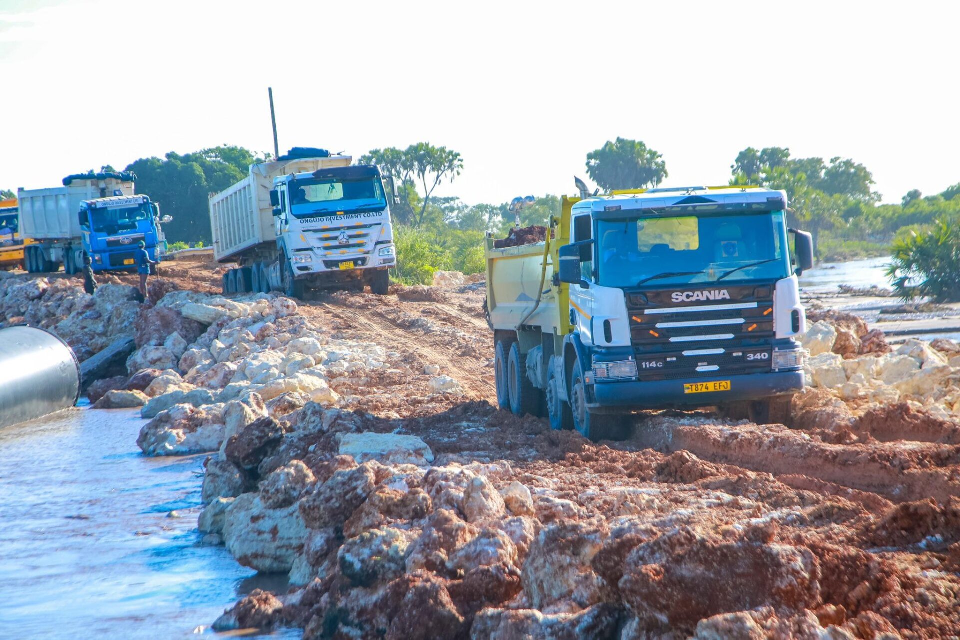 Innocent Bashungwa Innocent Bashungwa