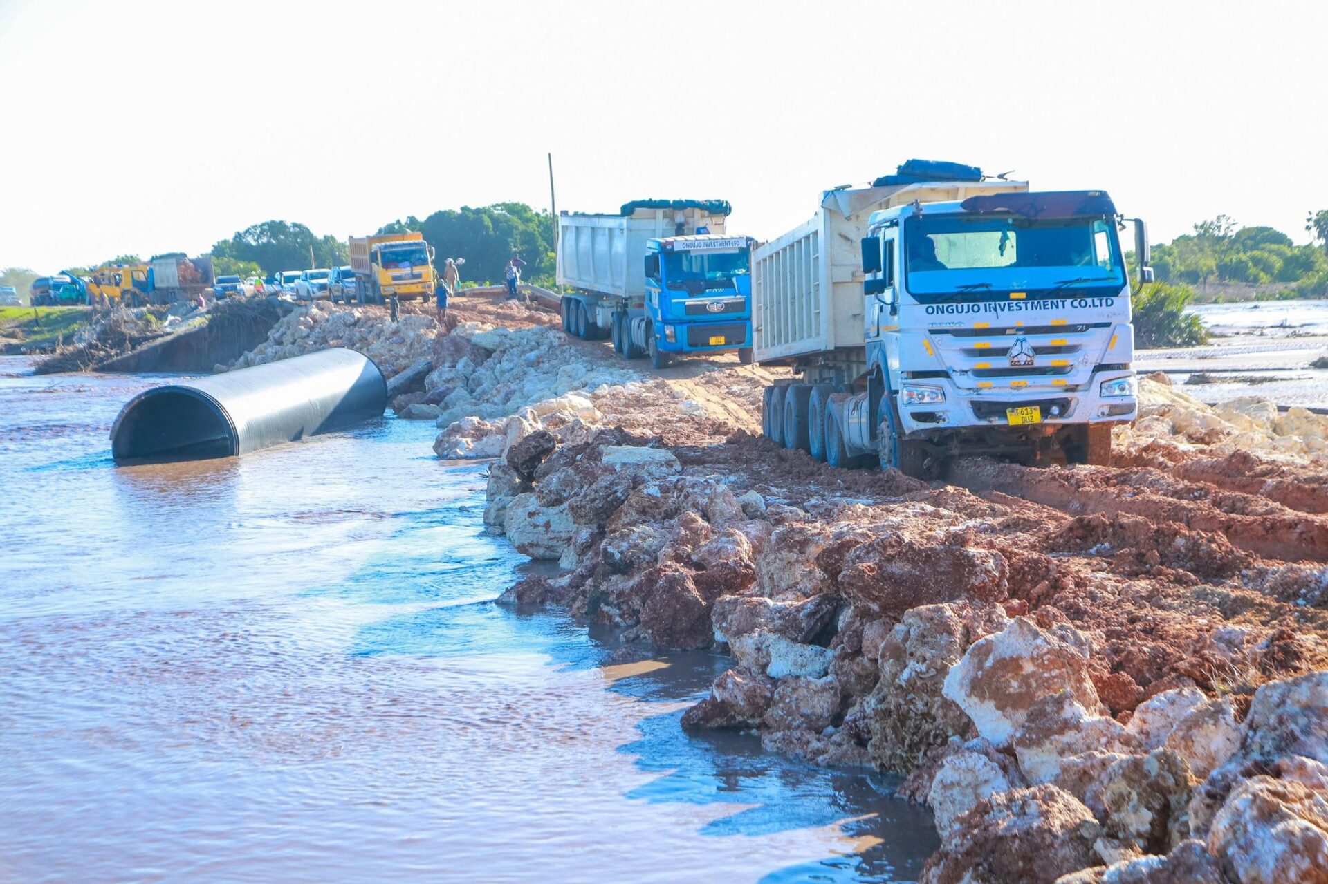 Innocent Bashungwa Innocent Bashungwa