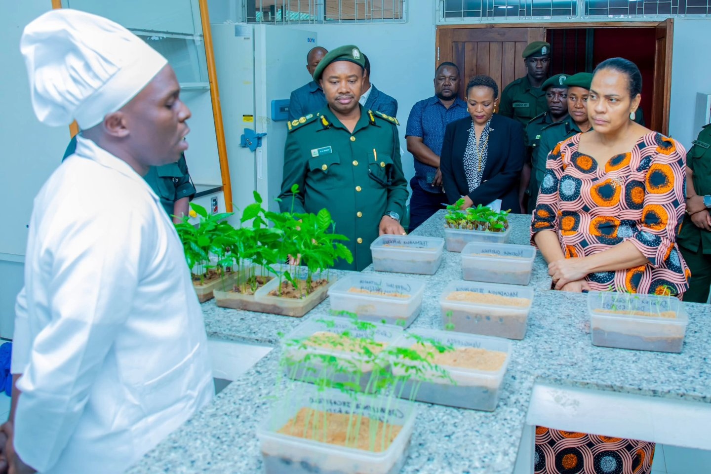 Angellah Kairuki Angellah Kairuki