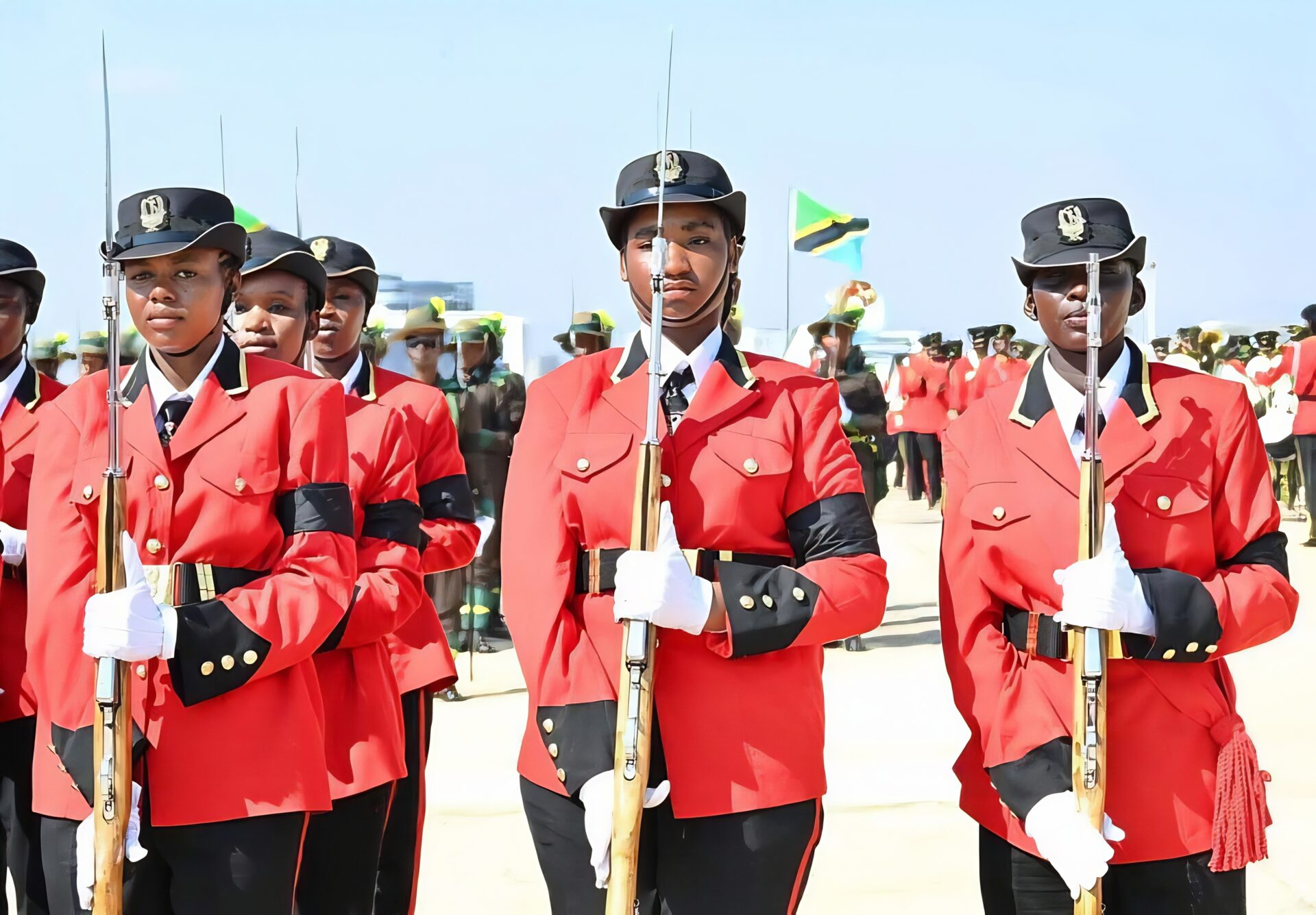 TANZANIA'S INDEPENDENCE STRUGGLE TANZANIA'S INDEPENDENCE STRUGGLE