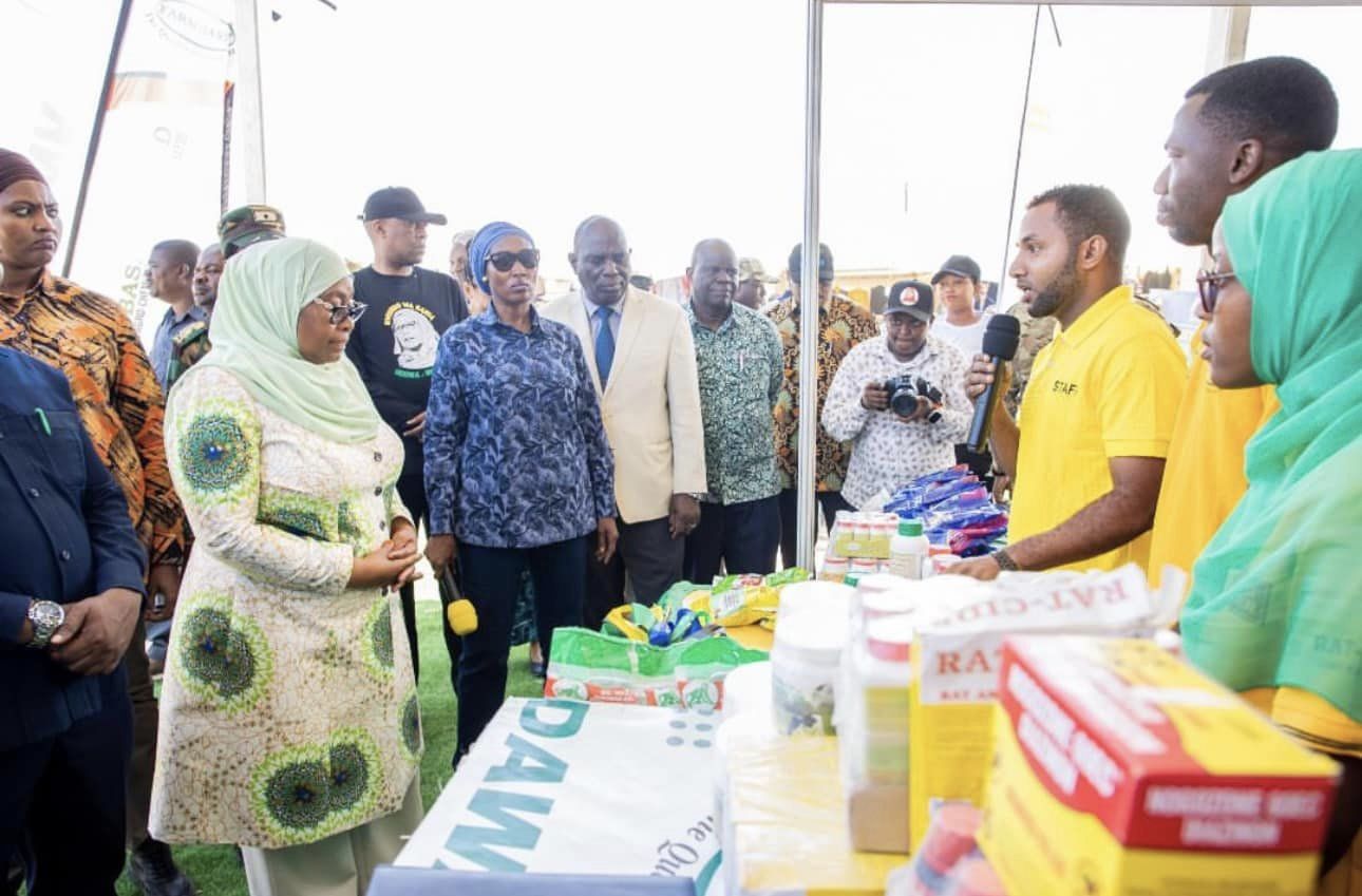 Kizimkazi Festival Kizimkazi Festival