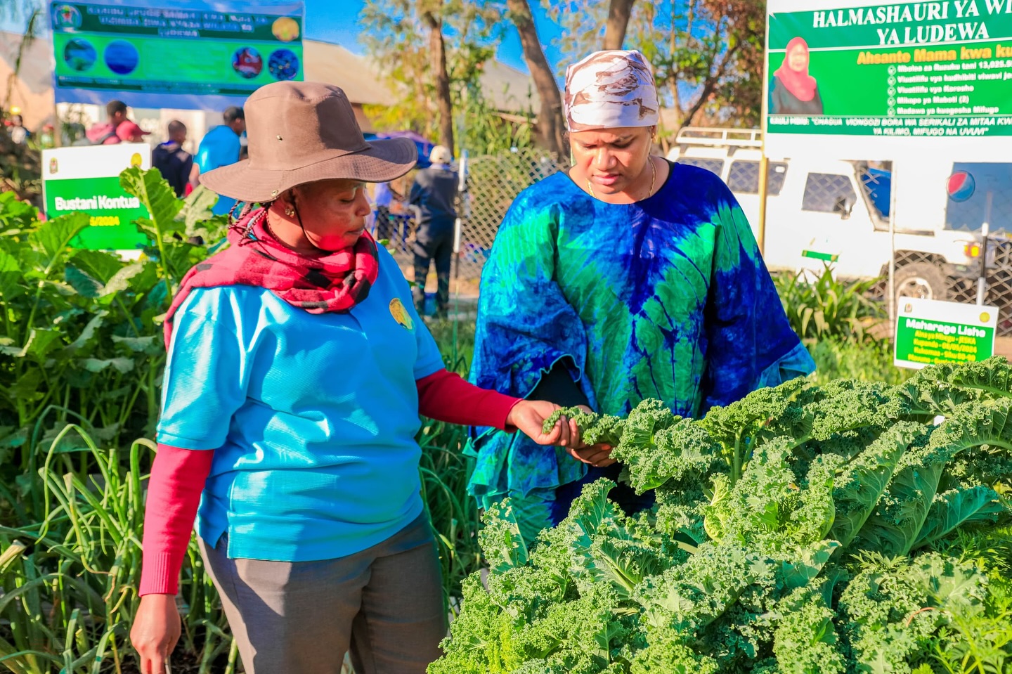 Ludewa Nanenane Ludewa Nanenane