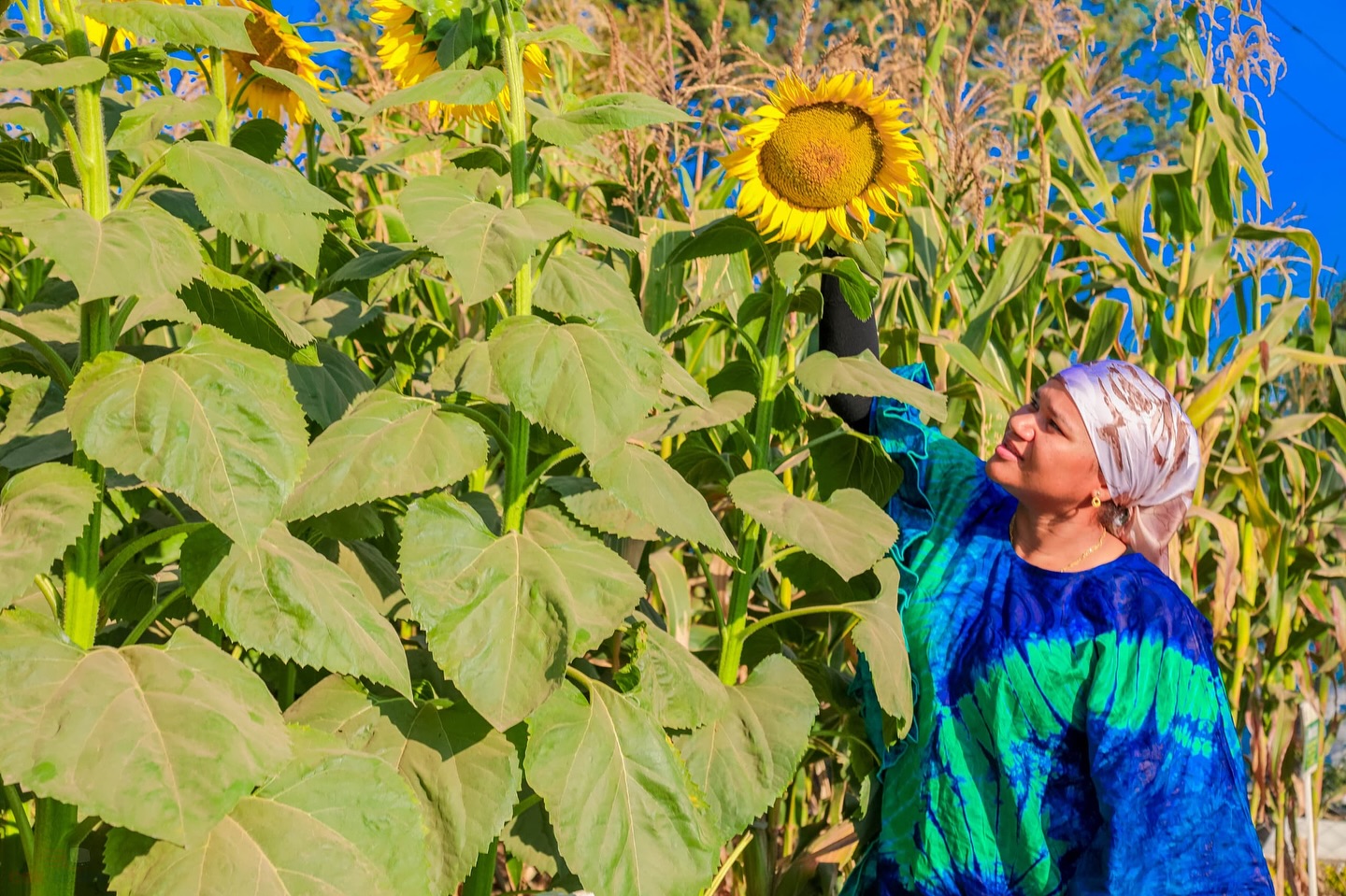 Ludewa Nanenane Ludewa Nanenane