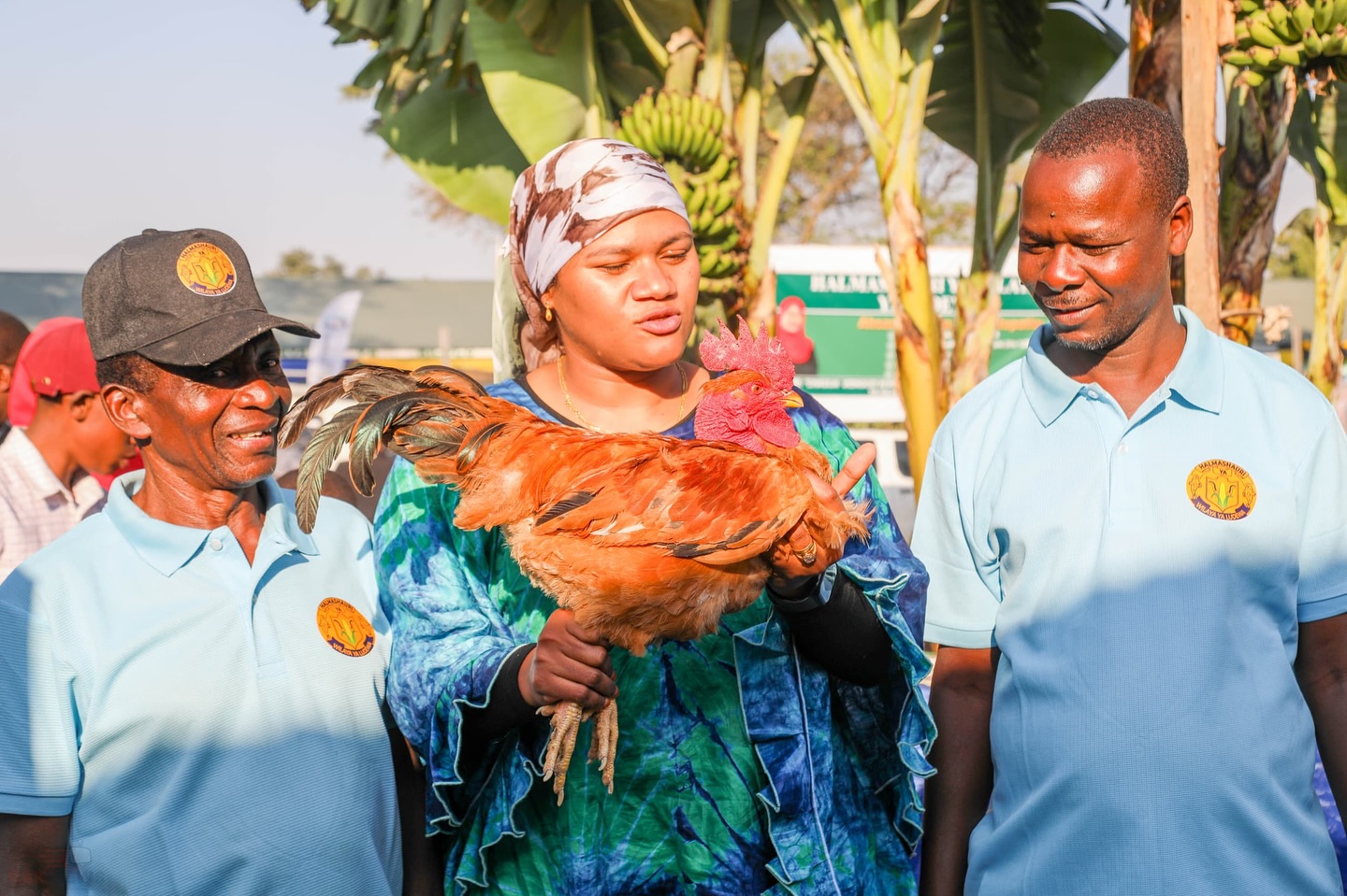 Ludewa Nanenane Ludewa Nanenane