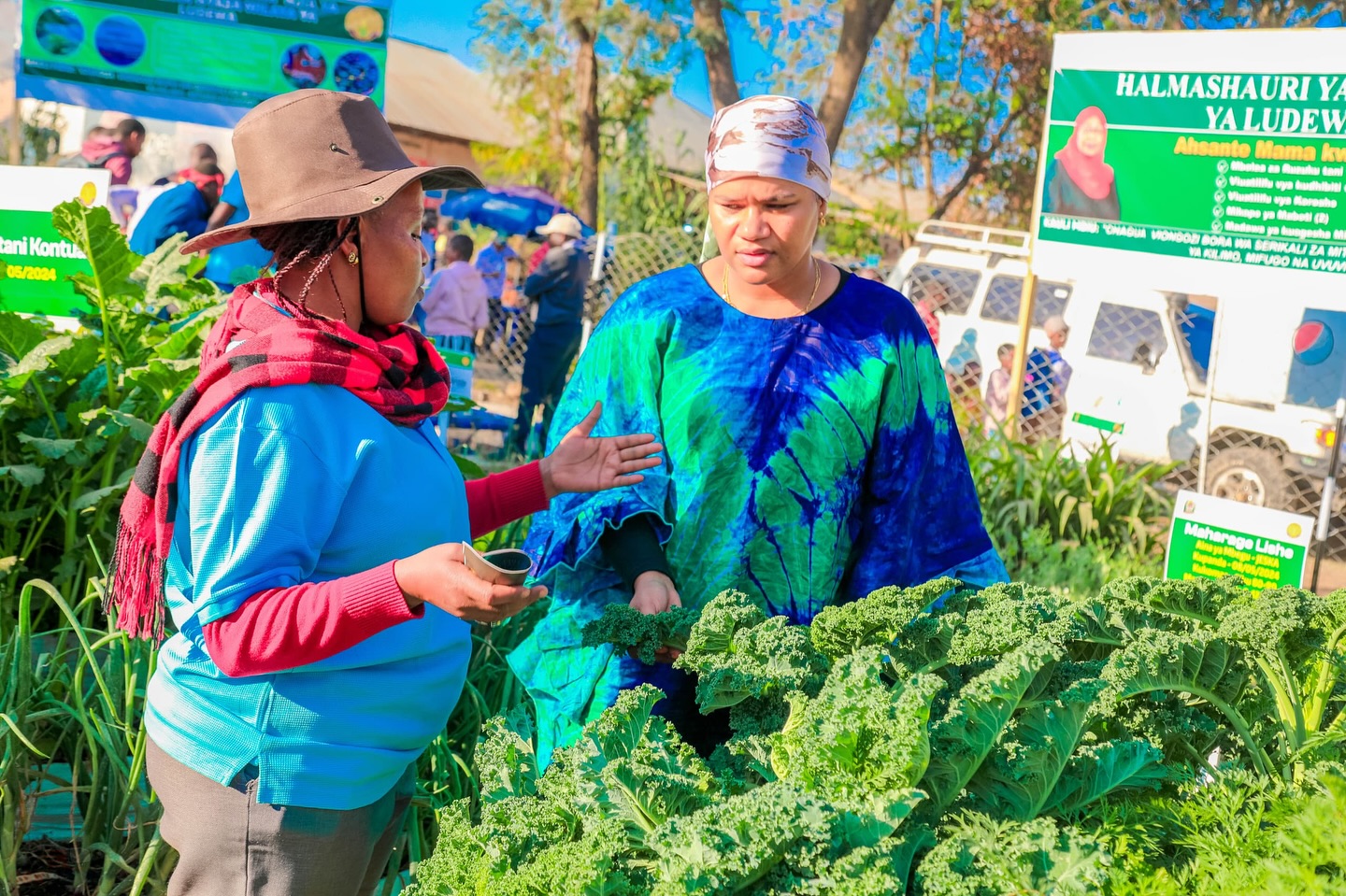 Ludewa Nanenane Ludewa Nanenane