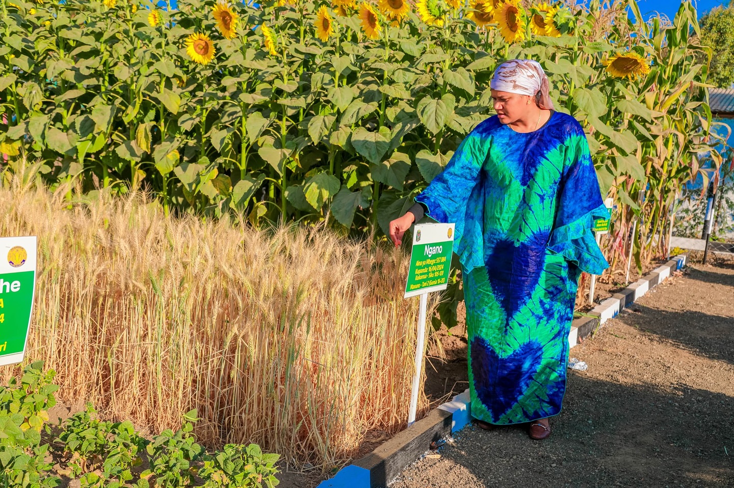 Ludewa Nanenane Ludewa Nanenane