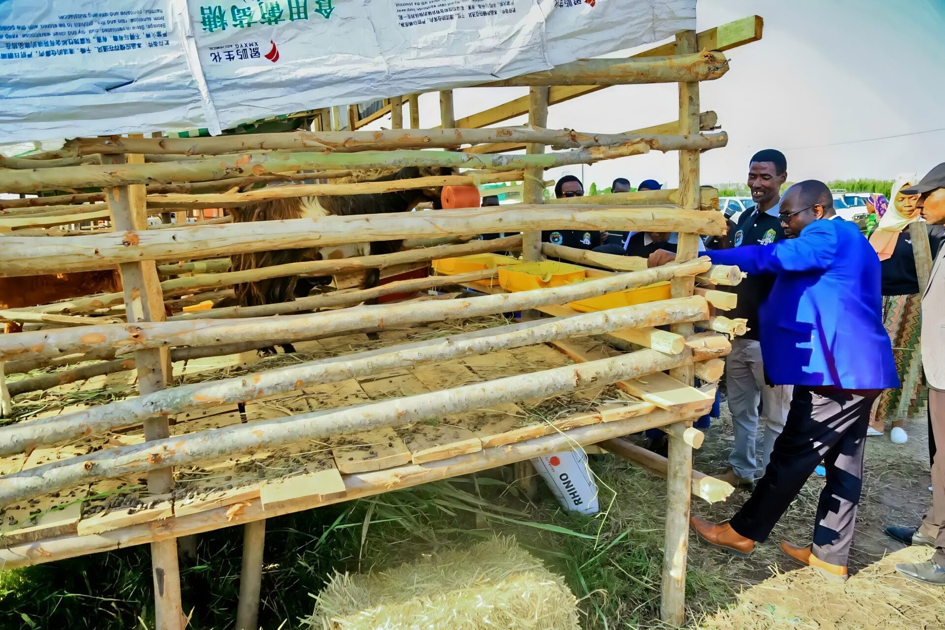 veterinary medicines veterinary medicines