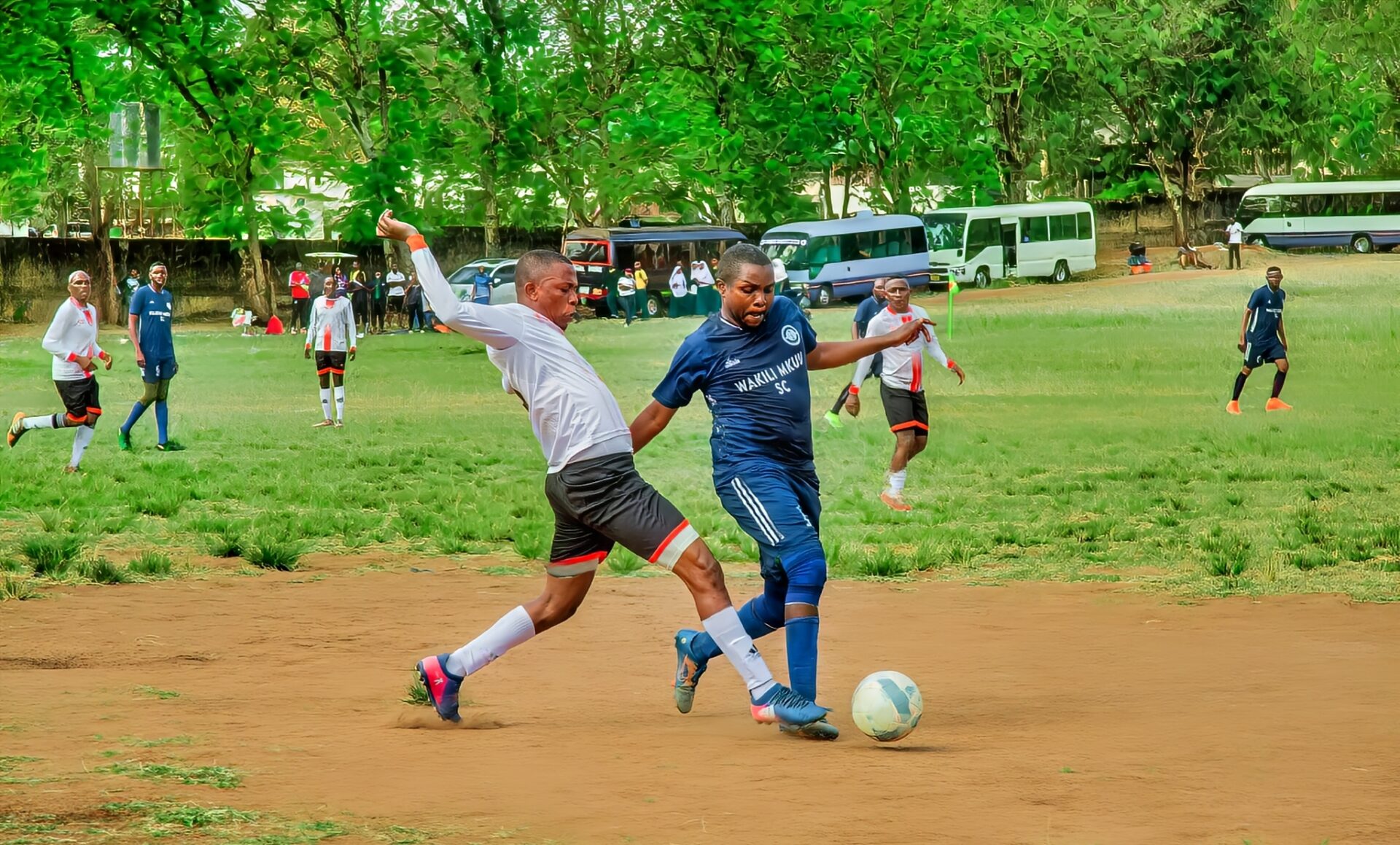 Shimiwi Competition Shimiwi Competition