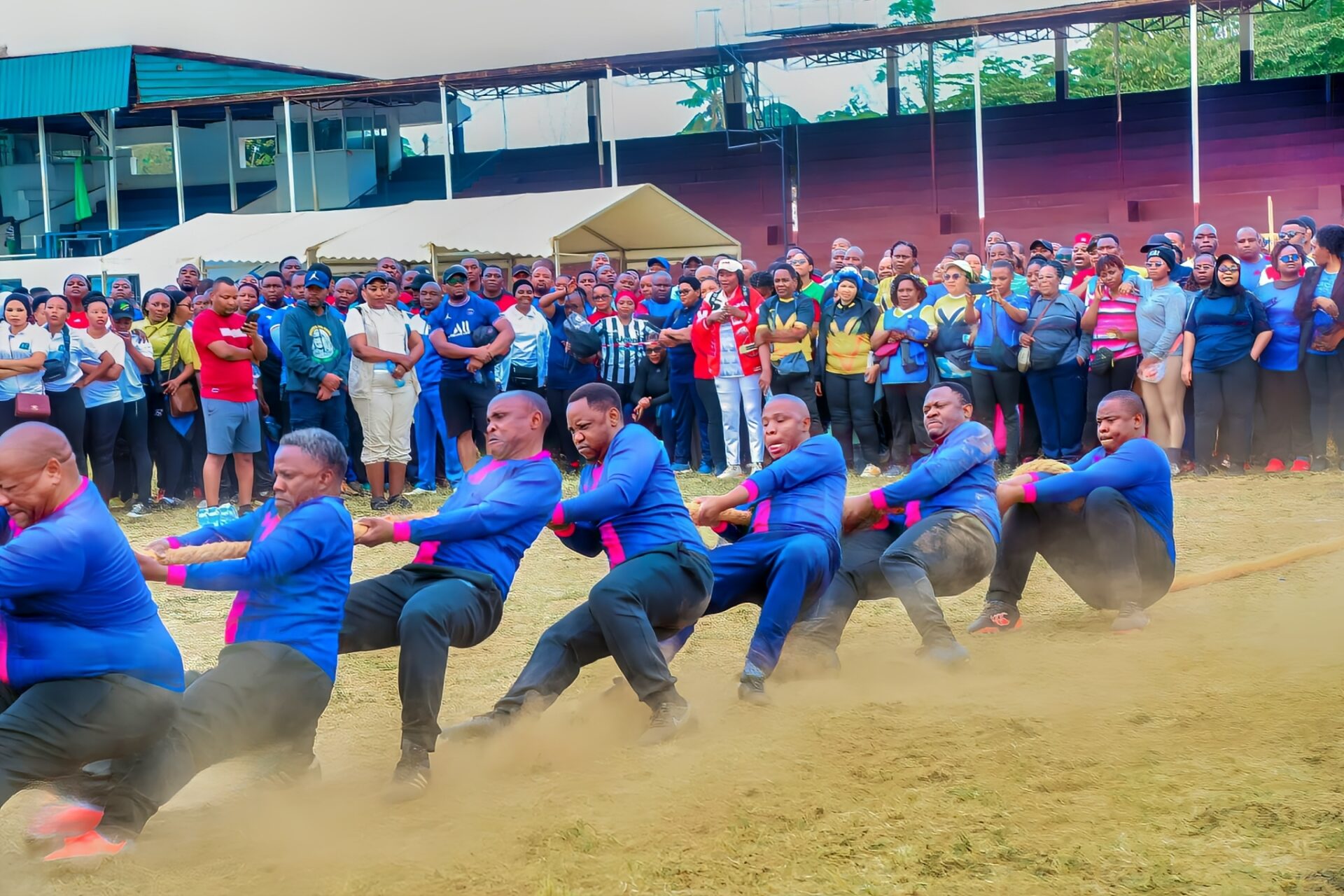 Shimiwi Competition Shimiwi Competition