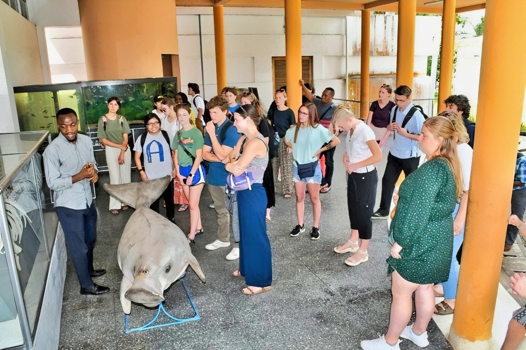 National Museum of Tanzania National Museum of Tanzania