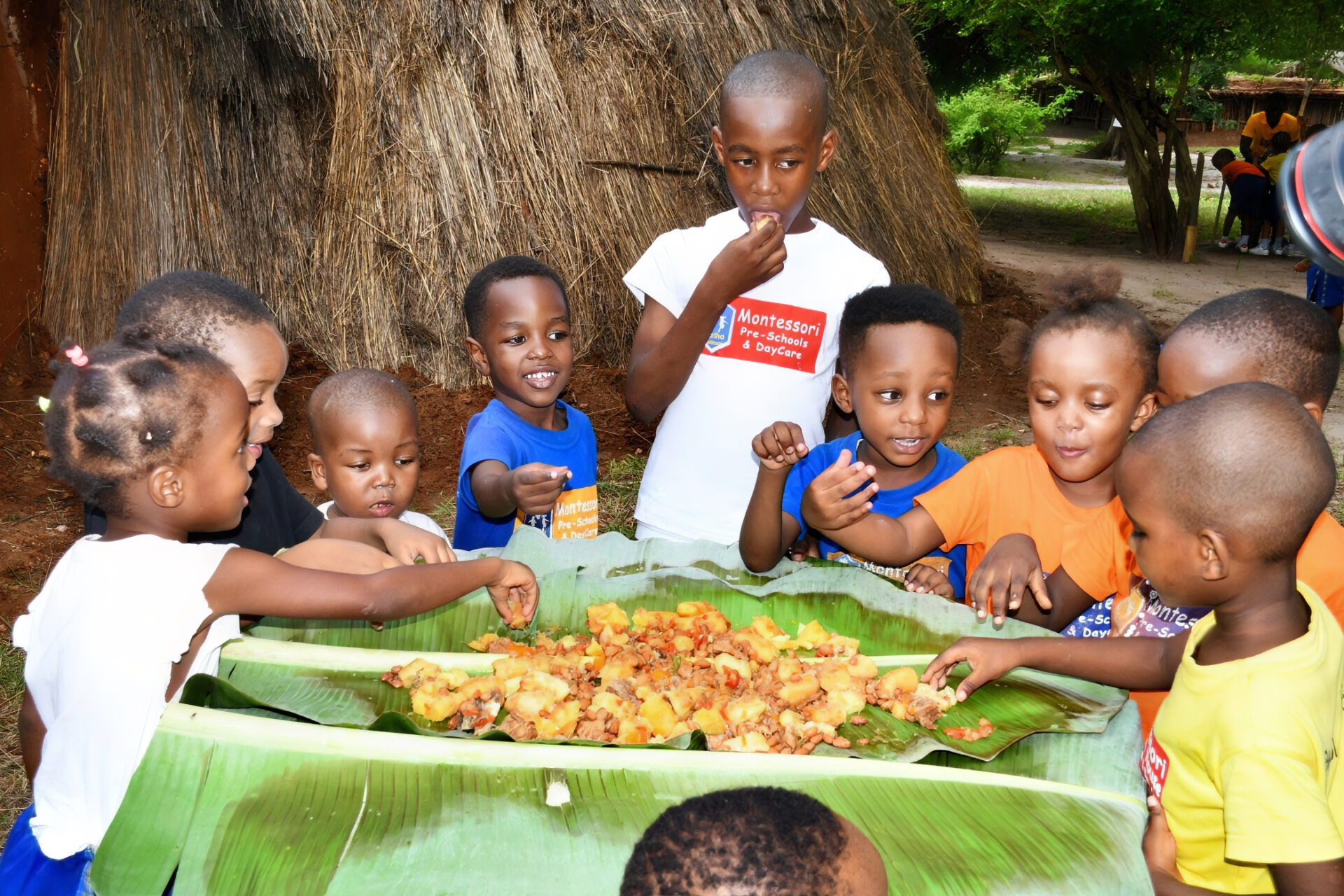 National Museum of Tanzania National Museum of Tanzania