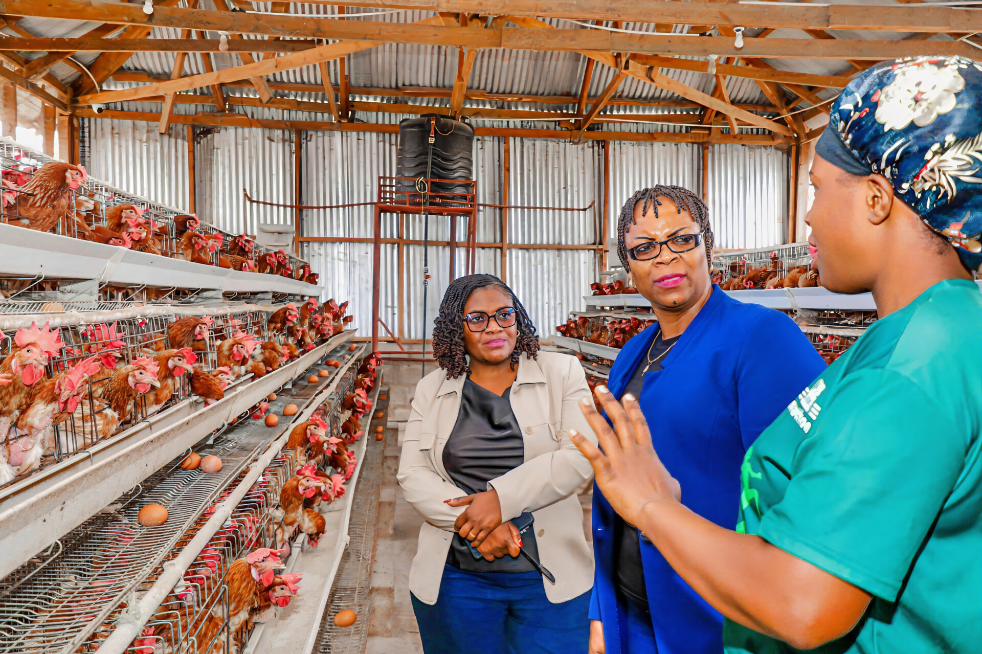 Women's Development Women's Development