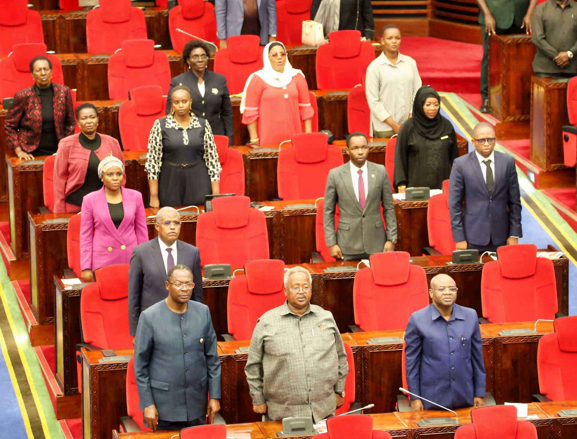Parliamentary Debate in Tanzania