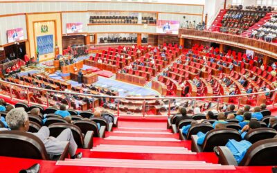 Tanzania Parliamentary Debates: Overcoming Challenges and Paving the Path to Prosperity