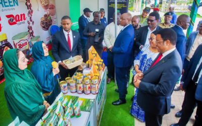 Modernising Tanzanian Beekeeping: From Log Hives to Langstroth Success